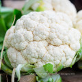 2021 New Season Fresh Vegetable Export Certifications Fresh Cauliflower